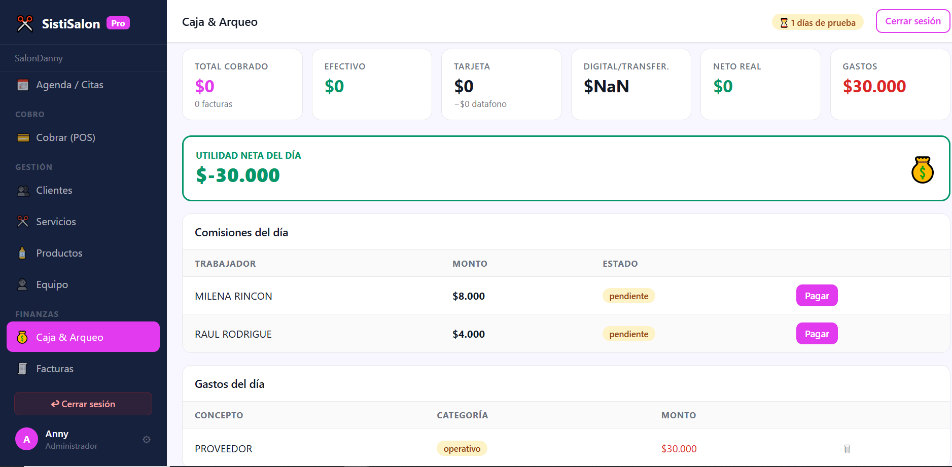 Captura de pantalla (33)